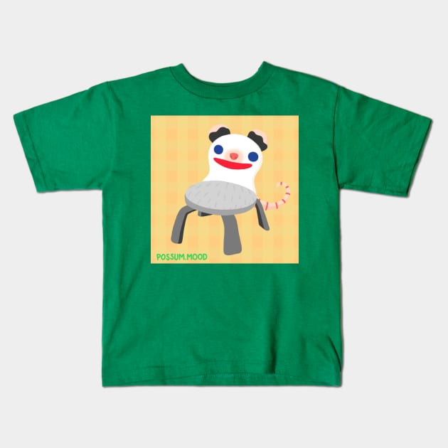 Froggy Chair But It's Not A Frog It's An Opossum Kids T-Shirt by Possum Mood